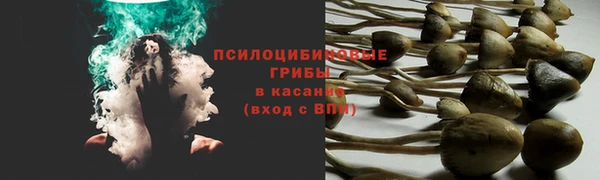 дурь Алексин