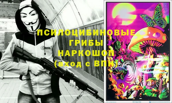 сатива Алексеевка